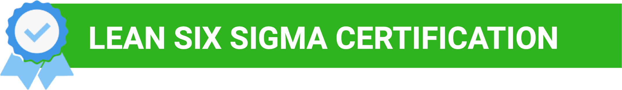 Lean six sigma certification badge